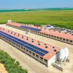 Fotovoltaica en naves rurales